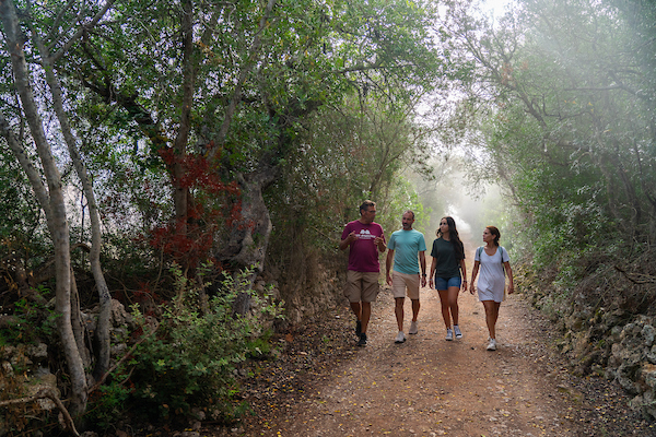 grupo de personas caminando en un camino rodeado de naturaleza